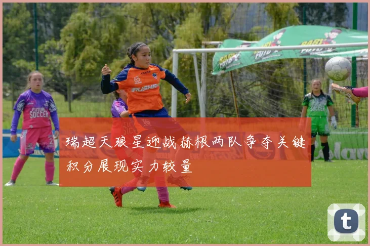 瑞超天狼星迎战赫根两队争夺关键积分展现实力较量