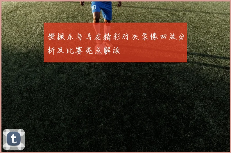 樊振东与马龙精彩对决录像回放分析及比赛亮点解读