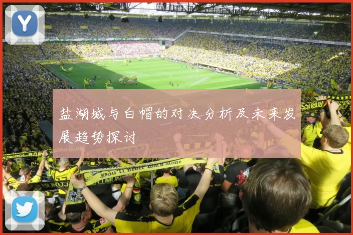 盐湖城与白帽的对决分析及未来发展趋势探讨