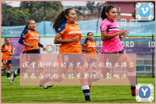 探索谢什科的历史与文化魅力揭示其在当代社会的重要性与影响力