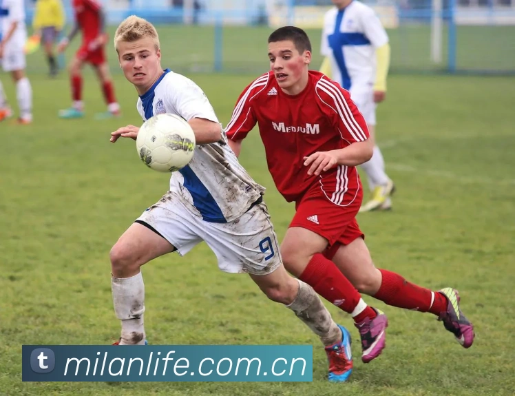 多媒体互动体验