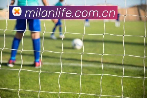 米兰体育APP 高清赛事图